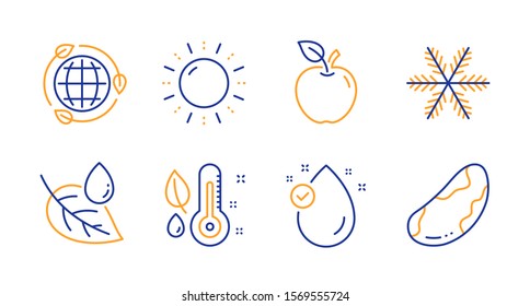 Snowflake, Sun energy and Thermometer line icons set. Apple, Eco energy and Vitamin e signs. Leaf dew, Brazil nut symbols. Air conditioning, Solar power. Nature set. Line snowflake icon. Vector