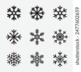 Snowflake variations icon collection. Snowflakes white ice crystal on white background. Winter symbol. Christmas logo sign.