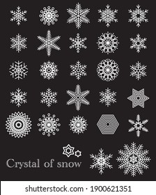 Snowflake varias ilustraciones conjunto de iconos vector