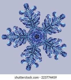 Snowflake vector.