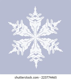 Snowflake vector.