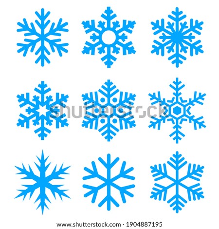 Snowflake vector icon, Christmas decorations collection on white background