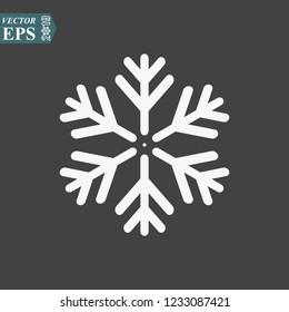 Snowflake vector icon on grey background. snow eps10