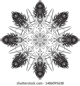 Snowflake. Vector isolated illustration. New Year's and Christmas. Geometric snowflake. Linear geometric pattern. Black on white.