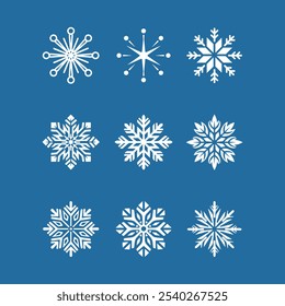 Snowflake winter design isolated on a background vector illustration