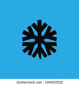 snowflake winter icon vector