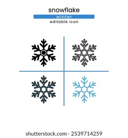 snowflake Winter Season Editable icon set
