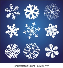 Snowflake Winter Set Vector Illustration