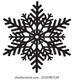 Snowflakes black and white shapes lines winter season decoration illustration