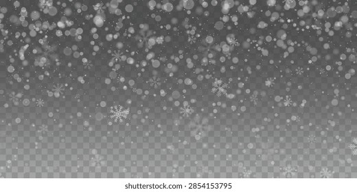 Snowflakes in different shapes and forms drift downward during heavy winter snowfall. Translucent icy particles scatter randomly across isolated background to produce realistic blizzard effect.