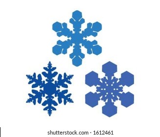 Snowflakes. Every snowflake is unique.