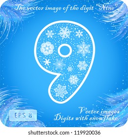 Snowflakes figures. The vector image of the digit "nine" 9. Eps8.