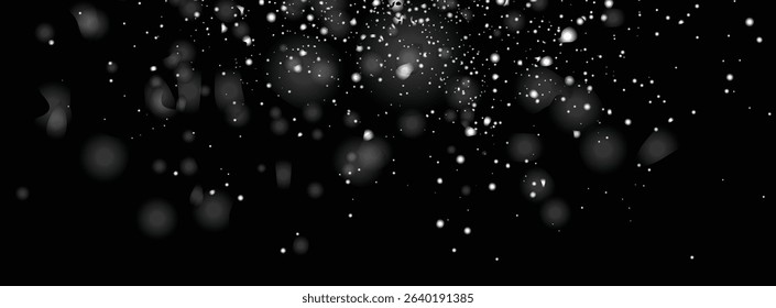 Snowflakes isolated snow background design