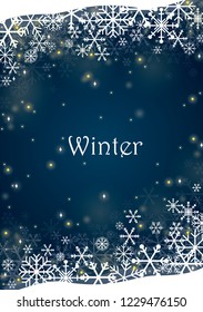 Snowflakes and night sky with star vector background for decoration on all winter festival.