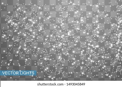 Snowflakes, snow background. Christmas snow for the new year.