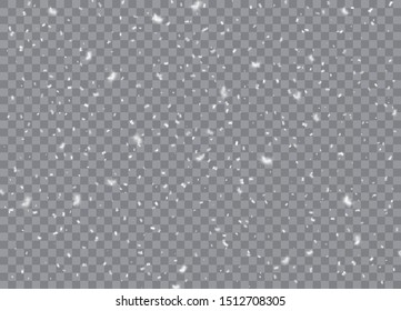 Snowflakes, snow background. Christmas snow for the new year. Vector illustration.