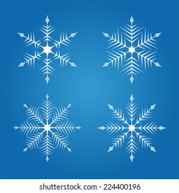 Snowflakes / vector illustration