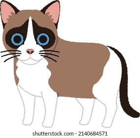 The Snowshoe Is A Breed Of Cat Originating In The USA. The Coat Coloration Recognized By Registries And Associations Is Point Coloration, And It Comes In A Variety Of Colors.
