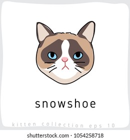 Snowshoe : Cat Breed Collection : Vector Illustration