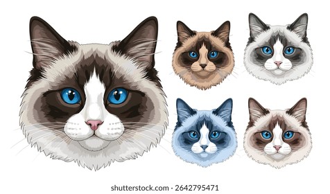 Snowshoe Cat Características Temperamento Saúde Cuidados e Treinamento Considerações Breed Guide Informações