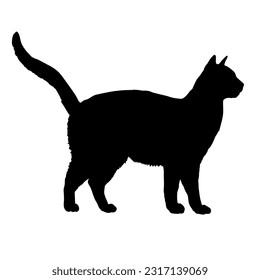 Gato de silueta de gato de raqueta de nieve raza vectorial