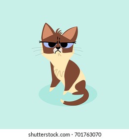 Snowshoe siamese grumpy kitten isolated on a blue background. Vector cartoon illustration