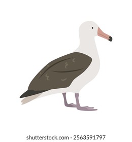 Snowy albatross cartoon clipart. Albatross vector illustration in flat style. Hand-drawn wild animal concept