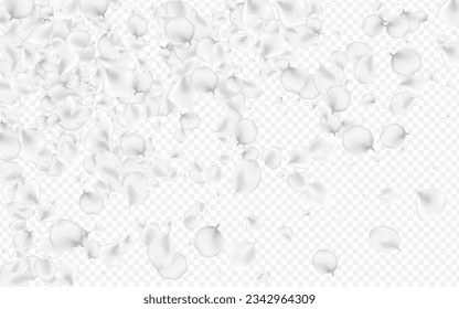 Snowy Blossom Vector Transparent Background. Delicate Flying Sakura Poster. Japan Peach Banner. Pastel Floral Summer Template.