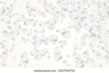 Snowy Cherry Vector Light Background. Pastel Blur Rose Design. Fall Blossom Frame. White Sakura Falling Wallpaper.