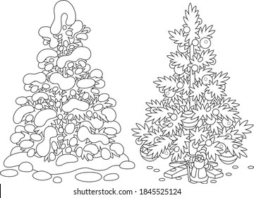 Snowy fir in a winter forest and a decorated Christmas tree with balls, garlands and a small toy Santa Claus under prickly branches, black and white vector cartoon illustrations