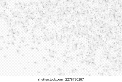 Snowy Flower Vector Transparent Background. Pastel Falling Cherry Banner. Beauty Sakura Wallpaper. White Blossom Summer Backdrop.