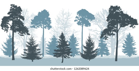 Snowy forest in winter, silhouette of trees (pines, spruces, oak, etc.). Vector illustration.