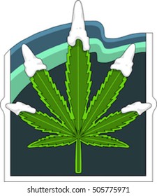 Snowy Marijuana Leaf in Cold Place with Aurora in the Sky