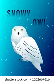 Snowy Owl against the starry sky. Vector Illustration