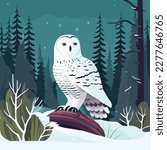 Snowy owl in arctic forest. Arctic birds in natural habitat. Flat vector illustration concept