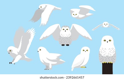 Snowy Owl Cute Bird Winter Flying Set Cartoon Vector