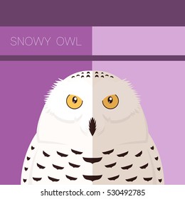 Snowy Owl flat postcard