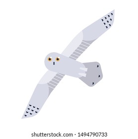 Snowy Owl flat vector illustration. Nyctea scandiaca minimalist drawing isolated on white background. Beautiful polar bird clipart. Northern fauna inhabitant. Yellow-eyed Bubo scandiacus.