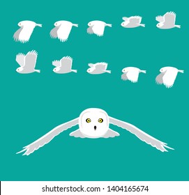 Snowy Owl Flying Animation Sequence Cartoon Vector