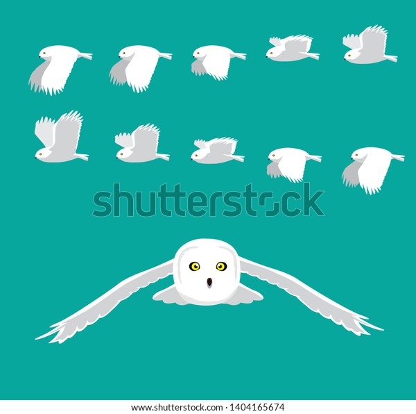 Snowy Owl Flying Animation Sequence Cartoon Stock Vector Royalty