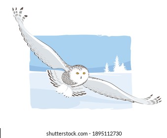 Snowy Owl flying in winter flat design vector illustration