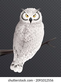 Snowy owl realistic composition with isolated image of bird with white colored feathers on transparent background vector illustration