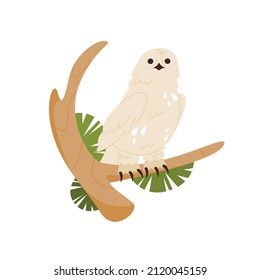 Snowy owl sitting at pine tree branch. White bird design element. Isolated flat vector illustration.