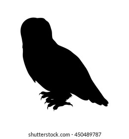 Snowy owl vector. Predatory birds wildlife concept in flat style design. North fauna illustration for ,encyclopedia, childrens books illustrating. Beautiful snowy owl bird seating isolated on white.