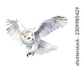 Snowy Owl watercolor painted ilustration