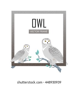 Snowy owls vector frame. Predatory birds wildlife concept in flat design. North fauna illustration for ,encyclopedia, childrens books illustrating. Beautiful owls birds seating isolated on white.