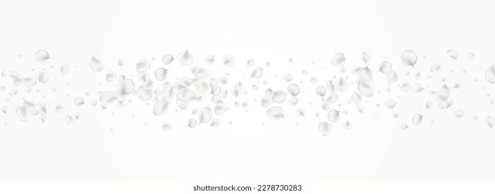 Snowy Peach Vector Light Panoramic Background. Delicate Fall Floral Texture. Blur Lotus Banner. Pastel Blossom Tender Backdrop.