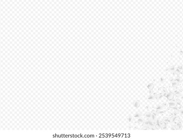 Snowy Peach Vector Transparent Background. Gray Fall Petal Poster. Beauty Blossom Wallpaper. Pastel Lotus Flying Design.
