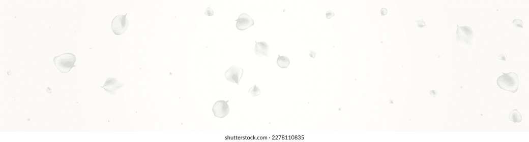 Snowy Petal Vector Light Panoramic Background. Gray Blur Floral Backdrop. Fall Lotus Pattern. White Cherry Falling Banner.