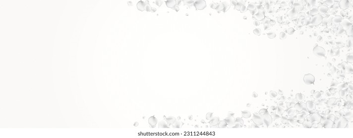 Snowy Petal Vector Light Panoramic Background. Gray Fly Flower Template. Summer Cherry Cover. White Peach Tender Pattern.